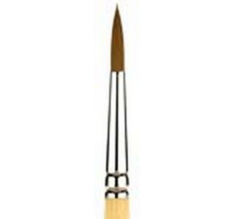 Snap Gold Taklon Brushes